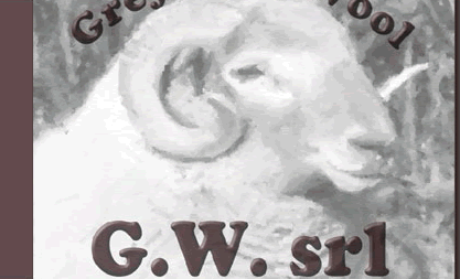 GW SRL